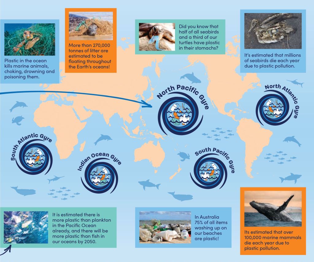 Image courtesy of the Australian Marine Conservation Society.
